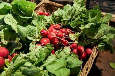 Sepet çeşit çeşit turp ve yeşil yapraklarla dolu. Turpların boyutları ve renkleri farklıdır, bazıları daha büyük ve diğerleri daha küçüktür. Yapraklar taze ve canlı.
