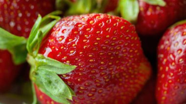 Yeşil saplı kırmızı bir çileğe yaklaş. Tazelik ve doğal güzellik kavramı