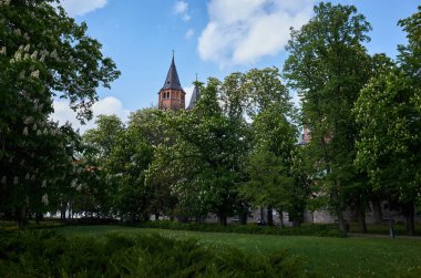 Saat kulesi ve çan kulesi olan büyük bir bina. Bina ağaçlar ve çimenli bir alanla çevrilidir. Plock 03.05.2025 Polonya