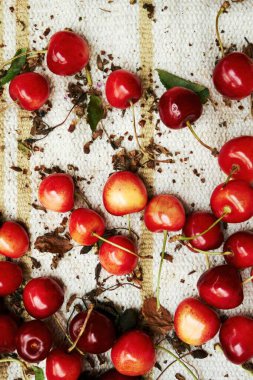 Kırmızı kirazlar beyaz arka plana saçılmış. Kirazlar olgunlaştı ve yenmeye hazır. Telefon duvar kağıtları. Dikey arkaplan.