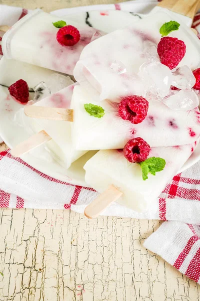 Sommaren Söta Desserter Hemmagjord Ekologisk Glass Popsicles Från Hallon Och — Stockfoto