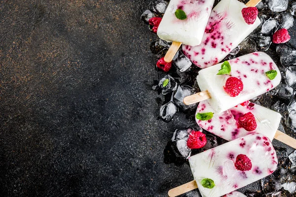 Sobremesas Doces Verão Gelados Orgânicos Caseiros Framboesa Iogurte Escuro Enferrujado — Fotografia de Stock