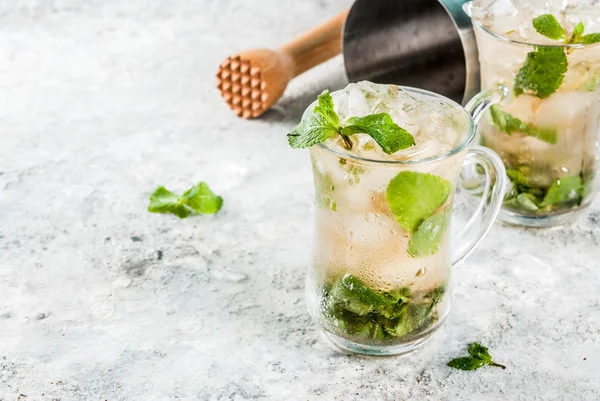 Bebida Fria Verão Bebida Coquetel Julep Hortelã Espaço Cinzento Cópia — Fotografia de Stock