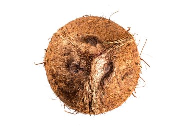 Hindistan cevizi, bütün fındık, beyaz arka plan üzerinde ayrı tut