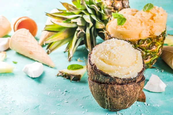 Concepto Vacaciones Verano Establecer Varios Sorbetes Helado Tropical Zumos Congelados — Foto de Stock