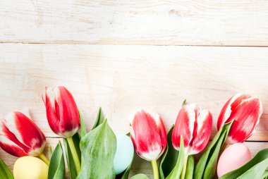 Sevgililer günü kutlama, tebrik kartları için arka plan. Taze bahar lale çiçekleri, Beyaz ahşap arka plan Üstten Görünüm alanı Kopyala