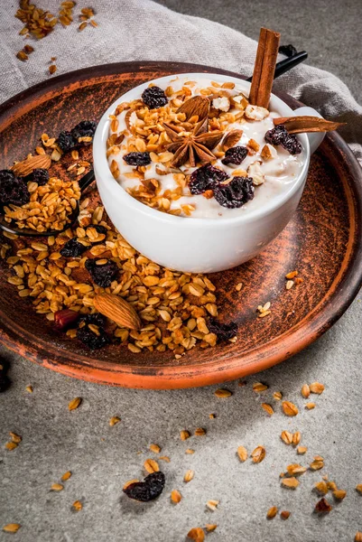 Bir sonbahar kış kahvaltı için fikirler. Granola, kurutulmuş meyveler, fındık, badem, ile baharatlı yoğurt baharat (tarçın, anason), Kupası, plaka üzerinde. Gri arka plan, kopya alanı
