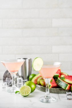 Beyaz mermer arka plan kopya alanı yaz alkollü içecekler, taze limon ve nane, karpuz martini kokteyl
