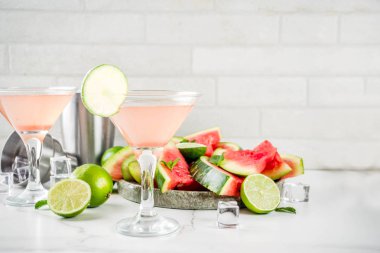 Beyaz mermer arka plan kopya alanı yaz alkollü içecekler, taze limon ve nane, karpuz martini kokteyl