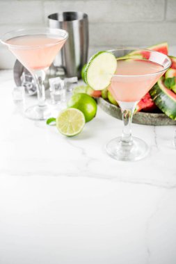 Beyaz mermer arka plan kopya alanı yaz alkollü içecekler, taze limon ve nane, karpuz martini kokteyl