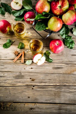 Ev yapımı elma tarçın ve anason baharatlarla, ahşap rustik arka plan kopya alanı üzerinde taze elma ile