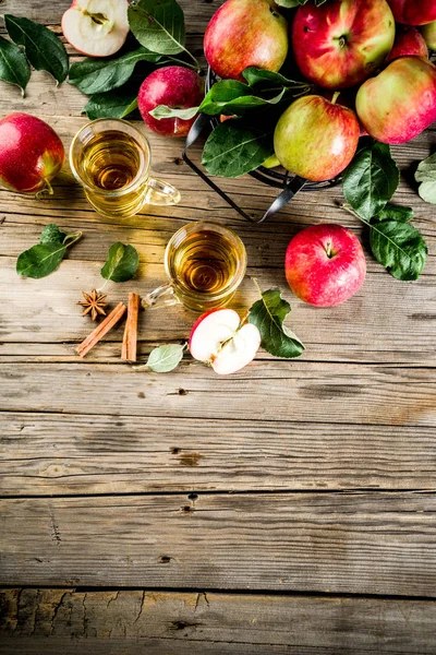 Ev yapımı elma tarçın ve anason baharatlarla, ahşap rustik arka plan kopya alanı üzerinde taze elma ile