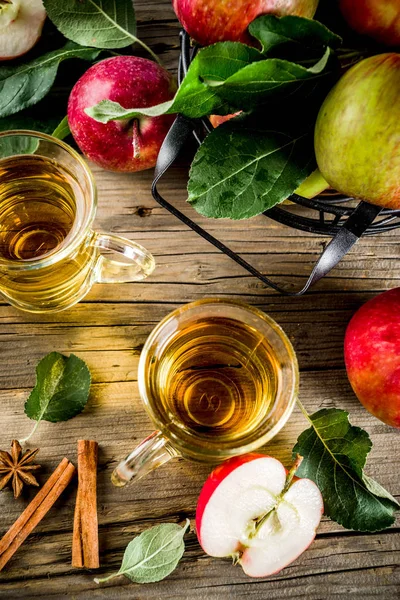 Ev yapımı elma tarçın ve anason baharatlarla, ahşap rustik arka plan kopya alanı üzerinde taze elma ile