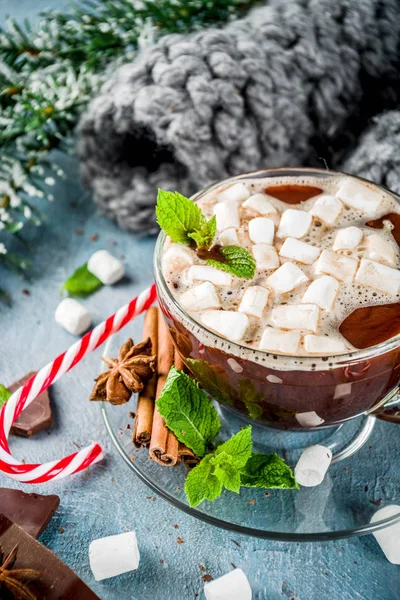 Nane, şeker kamışı ve hatmi, sıcak battaniye, kopya alanı ile açık mavi renkli ev yapımı sıcak çikolata