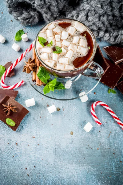 Nane, şeker kamışı ve hatmi, sıcak battaniye, kopya alanı ile açık mavi renkli ev yapımı sıcak çikolata