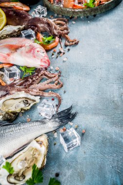 İstiridye midye balık ile baharat otlar limon bir açık mavi renkli kopya alanı üzerinde taze çiğ deniz mahsulleri kalamar karides