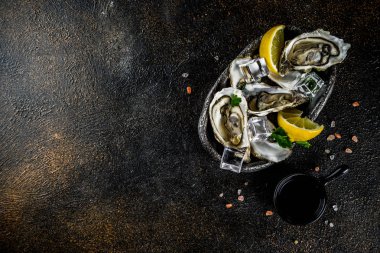 Taze çiğ deniz ürünleri istiridye limon ve buz ile bir açık mavi renkli üzerinde