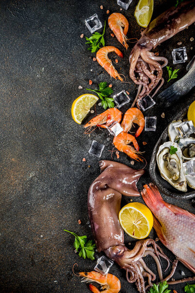 Fresh raw seafood squid shrimp oyster mussels fish with spices of herbs lemon on dark rusty background copy space top view