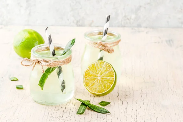 Bebida Desintoxicação Exótica Saudável Aloe Vera Suco Cacto Com Limão — Fotografia de Stock
