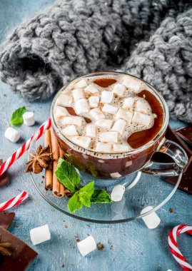Nane, şeker kamışı ve hatmi, sıcak battaniye, kopya alanı ile açık mavi renkli ev yapımı sıcak çikolata
