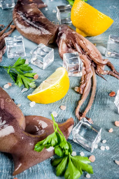 Fresh Raw Seafood Squid Lemon Light Preparation Light Blue Background — Stock Photo, Image
