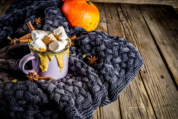 Autumn, winter drinks. Ideas for Christmas, Thanksgiving, Halloween. Hot spicy pumpkin white chocolate, with marshmallow, cinnamon, anise. With knitted plaid. Copy space, hands, top view