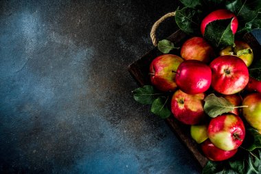 Işık keten kumaş arka plan, kopya alanı üzerinde ham taze elma