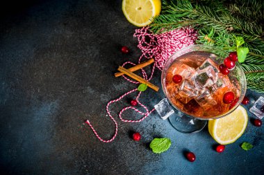 Noel kızılcık nane ve limon, üzerinde koyu mavi arka plan kopya alanı ile kokteyl 