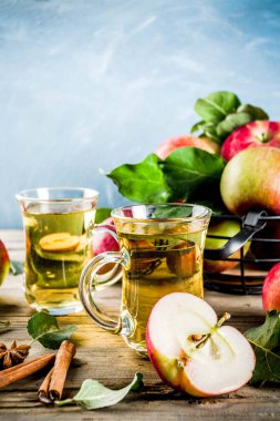 Ev yapımı elma tarçın ve anason baharatlarla, ahşap rustik arka plan kopya alanı üzerinde taze elma ile