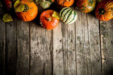 Sonbaharda hasat kavramı, kabaklar arka plan sarı yapraklar, eski rustik ahşap masa kopya alanı