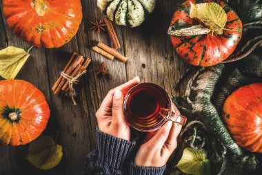 Kız tutun baharatlı kabak çay, pumpkins, tarçın ve eski rustik ahşap arka plan üzerinde baharatlar ile Sonbahar sıcak içecek cam fincan alanı Kopyala