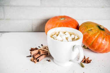 Baharatlı balkabağı kahve latte, pumpkins, tarçın ve beyaz mermer zemin üzerine baharat ile Sonbahar sıcak içecek cam fincan alanı Kopyala