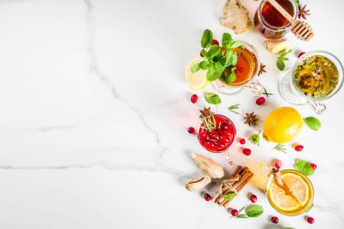 Çeşitli sonbahar kış bitki meyve ve meyve çayı, kızılcık, biberiye, nane limon ile. kireç. çiçek, tıbbi otlar ve baharatlar. üstten görünüm kopya alanı