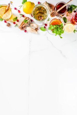 Çeşitli sonbahar kış bitki meyve ve meyve çayı, kızılcık, biberiye, nane limon ile. kireç. çiçek, tıbbi otlar ve baharatlar. üstten görünüm kopya alanı