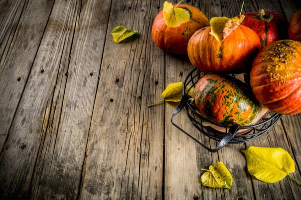 Autunno Concetto Raccolta Sfondo Zucche Con Foglie Gialle Vecchio Tavolo — Foto Stock