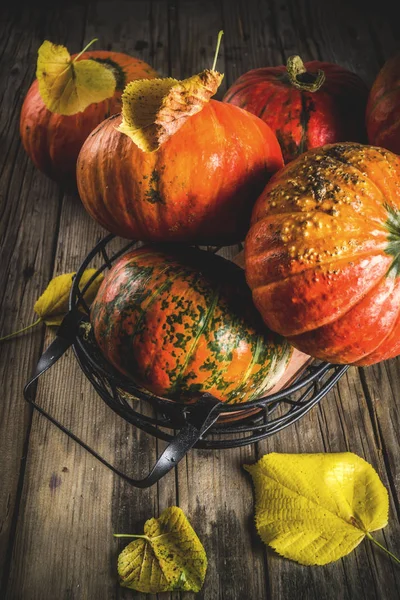 Herbsterntekonzept Kürbishintergrund Mit Gelben Blättern Alter Rustikaler Holztisch Kopierraum — Stockfoto