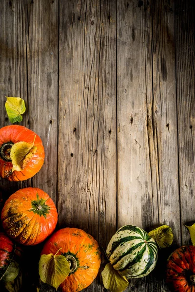 Concepto Cosecha Otoño Fondo Calabazas Con Hojas Amarillas Antiguo Espacio — Foto de Stock