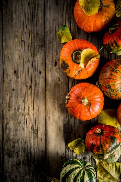 Herbsterntekonzept Kürbishintergrund Mit Gelben Blättern Alter Rustikaler Holztisch Kopierraum — Stockfoto