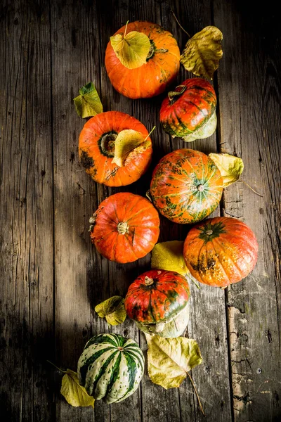 Autunno Concetto Raccolta Sfondo Zucche Con Foglie Gialle Vecchio Tavolo — Foto Stock