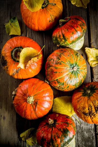 Autunno Concetto Raccolta Sfondo Zucche Con Foglie Gialle Vecchio Tavolo — Foto Stock