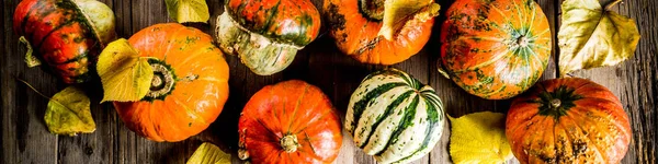 Concepto Cosecha Otoño Fondo Calabazas Con Hojas Amarillas Antiguo Espacio — Foto de Stock