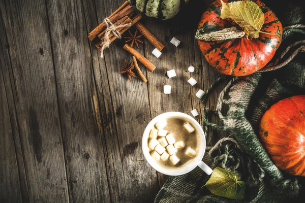 Spicy pumpkin coffee latte, autumn hot drink glass cup, with pumpkins, cinnamon and spices on old rustic wooden background copy space