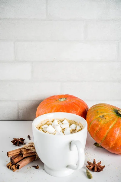 Würzige Kürbis Kaffee Latte Herbst Heißgetränk Glas Tasse Mit Kürbissen — Stockfoto