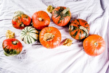 Sonbaharda hasat, ev yapımı organik küçük kabak keten masa örtüsü arka plan üzerinde bir tablo,