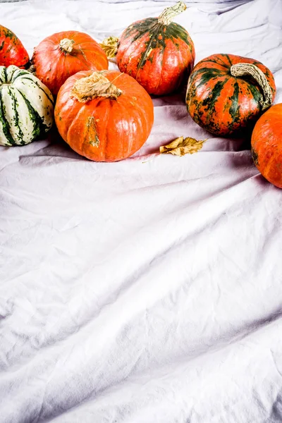 Raccolta Autunnale Zucche Biologiche Fatte Casa Una Tavola Uno Sfondo — Foto Stock