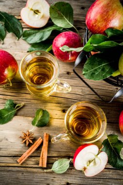 Ev yapımı elma tarçın ve anason baharatlarla, ahşap rustik arka plan kopya alanı üzerinde taze elma ile