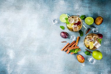 Yaz ferahlık içecek buzlu. Tarçın ve Erik limonata kokteyl ile taze limon ve nane, mavi arka plan boşluk kopyalama