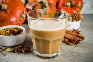 Geleneksel sonbahar kış içki, tarçın, anason, karanfil, şeker kamışı, pumpkins, gri bir beton zemin üzerine ile baharatlı kabak kahve latte alanı Kopyala