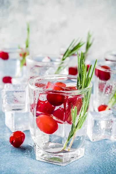 Natal Ano Novo Coquetel Cranberry Inverno Com Alecrim Licor Gim — Fotografia de Stock