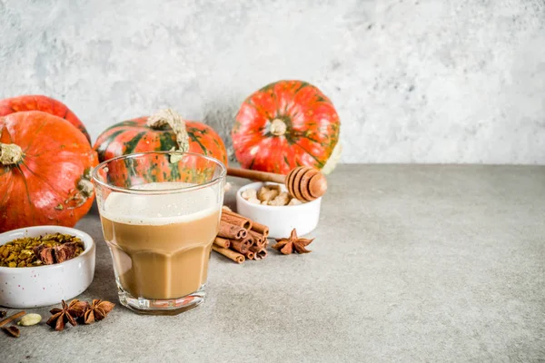 Traditionelles Herbst Wintergetränk Würziger Kürbis Kaffee Latte Mit Zimt Anis — Stockfoto